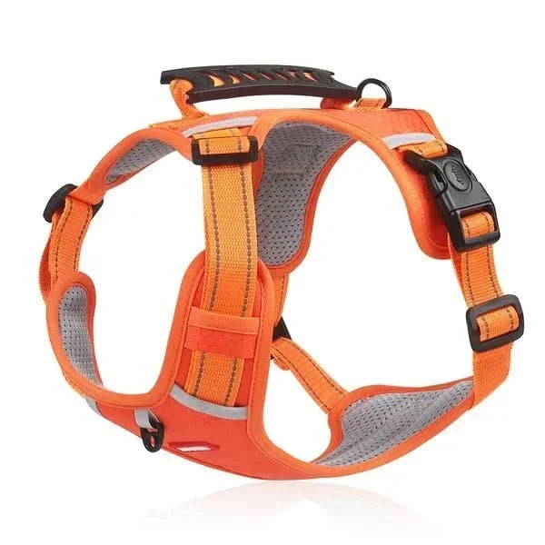 harness dla psa zapobiegający ciągnięciu na spacerach bez bólu