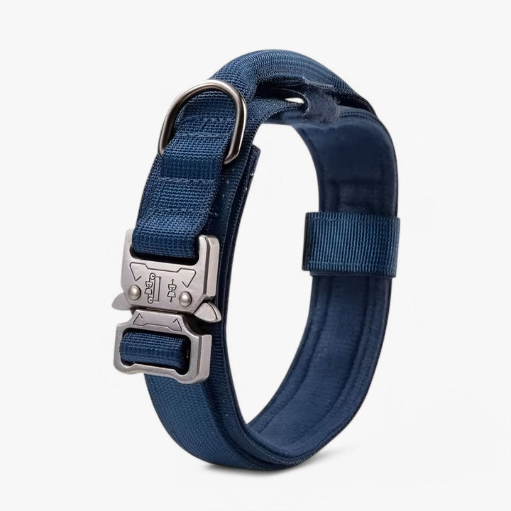 Trwała i regulowana obroża do szkolenia i codziennego użytku