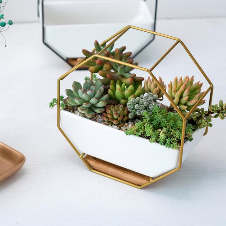 Prosta ośmiokątna geometria ścienna taca na sukulenty z bambusowym wsparciem i żelazną ramą (Złota)