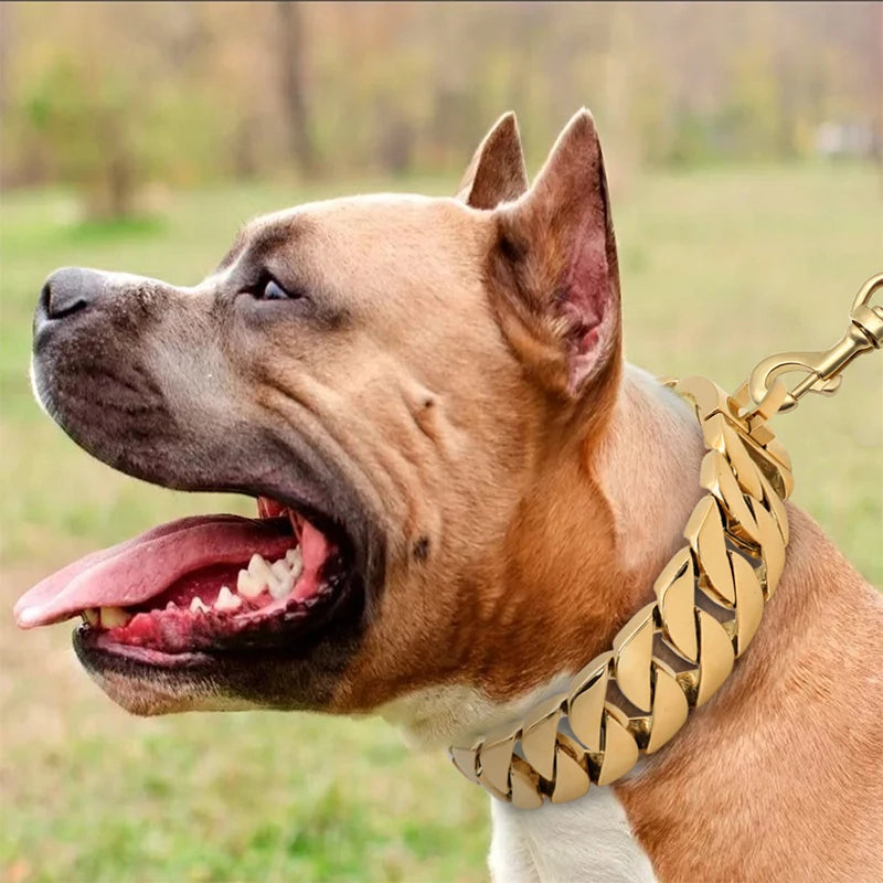 KrachtNeck Metal Dog Collar – Solidna obroża ze stali nierdzewnej dla dużych psów