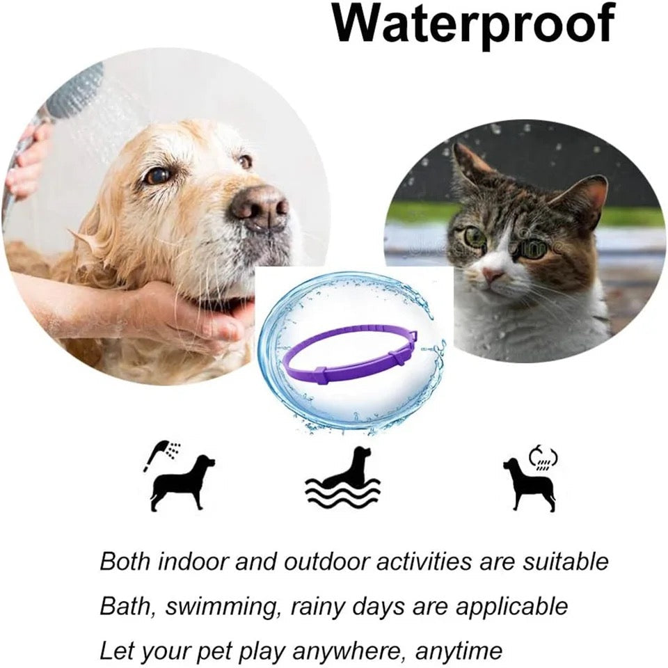 Kołnierz uspokajający z feromonami dla psów i kotów