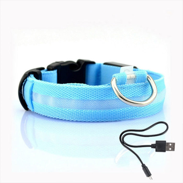Obroża dla psa z oświetleniem LED - GlowCollar