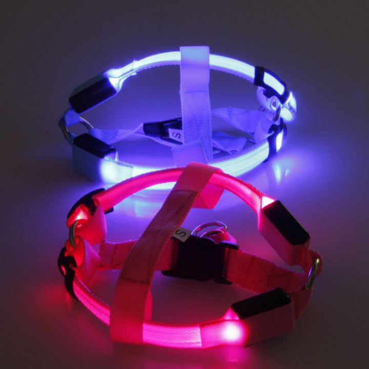 Szelki dla psa z LED - Glow&amp;Go