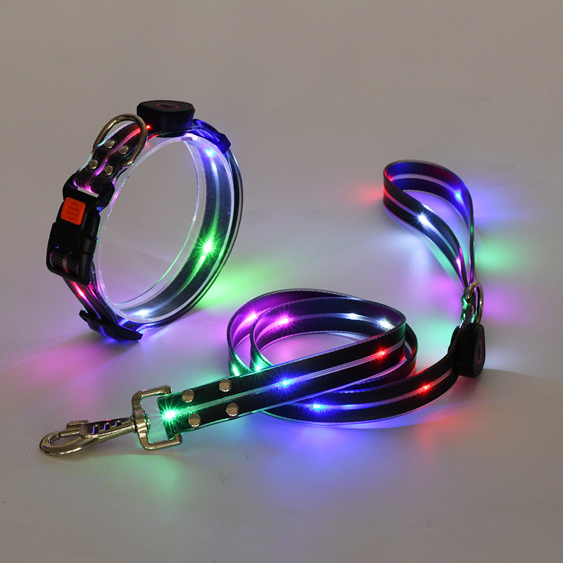 Świecąca obroża LED dla psa z smyczą - NightBright