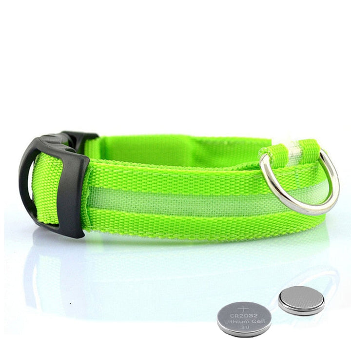 Obroża LED dla Psów - GlowCollar