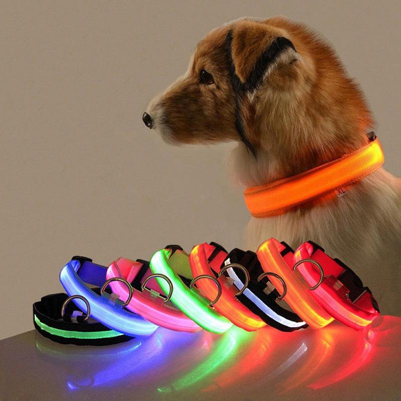 Obroża LED dla Psów - GlowCollar