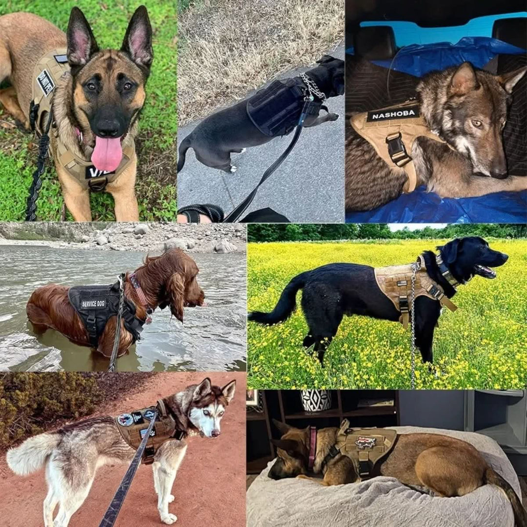 Regulowana Szelki dla Psów dla Bezpiecznego i Wygodnego Szkolenia