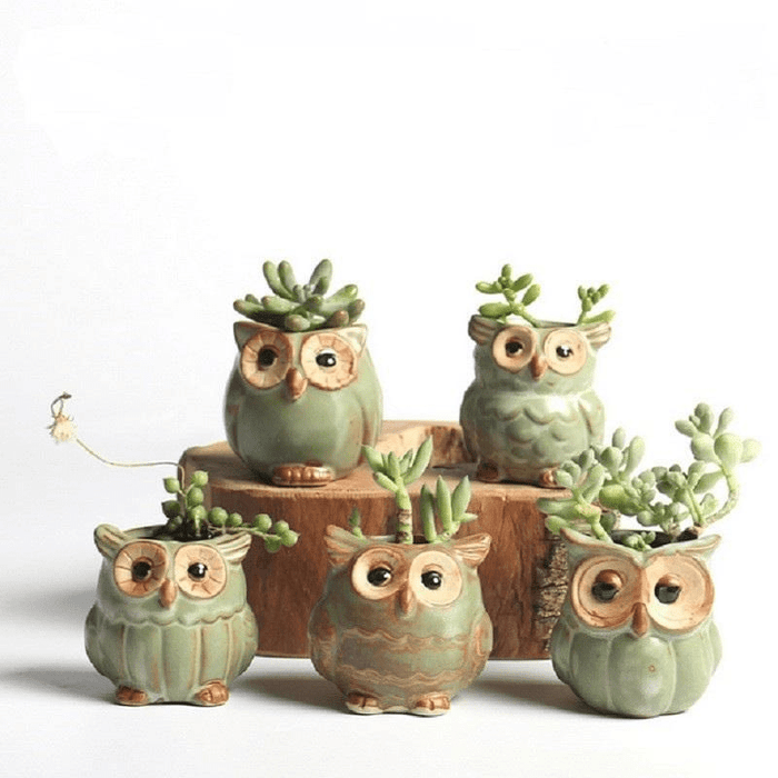Zestaw ceramicznych doniczek z sowami 5-elementowy